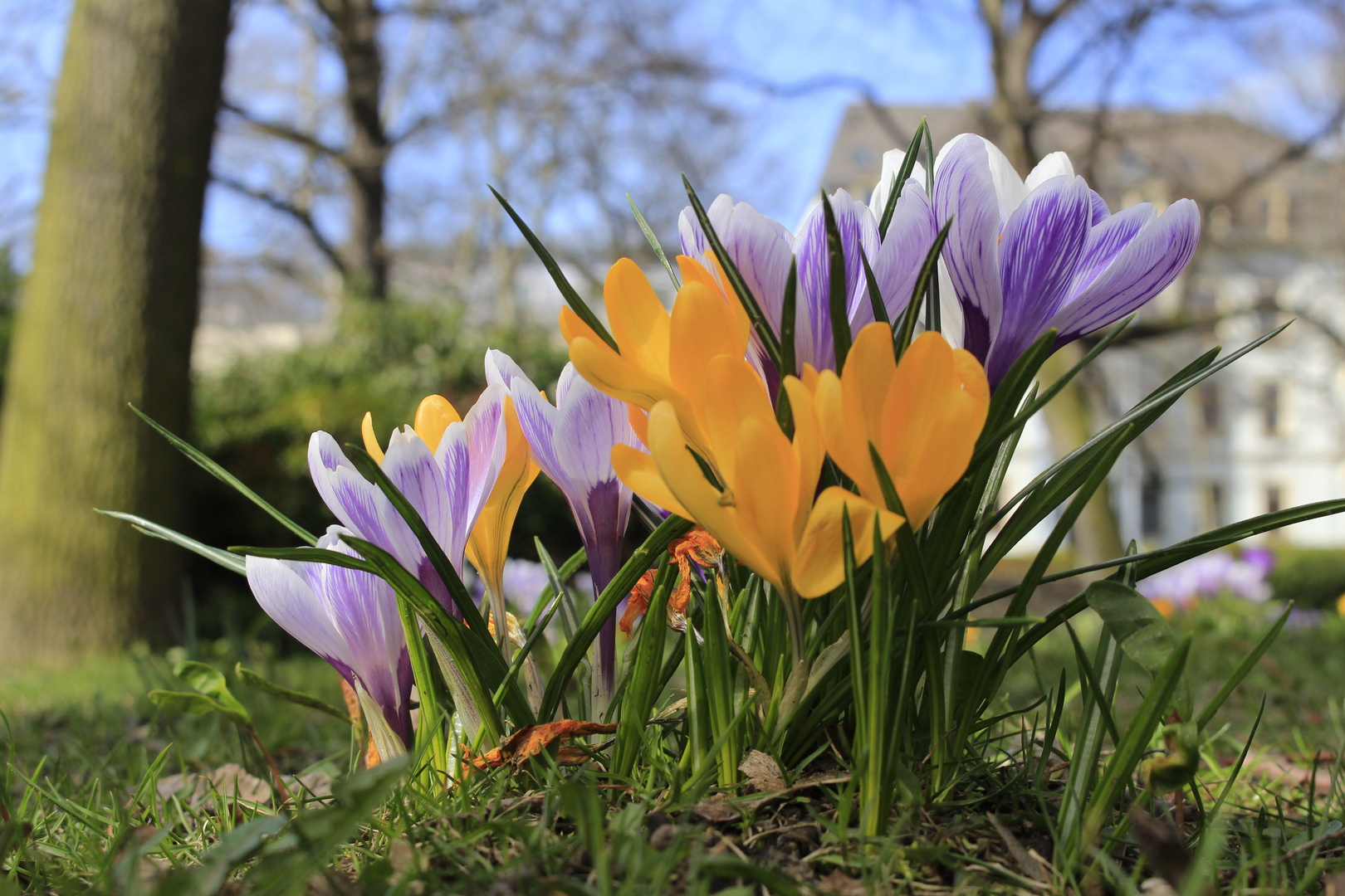 Eine bunte Mischung