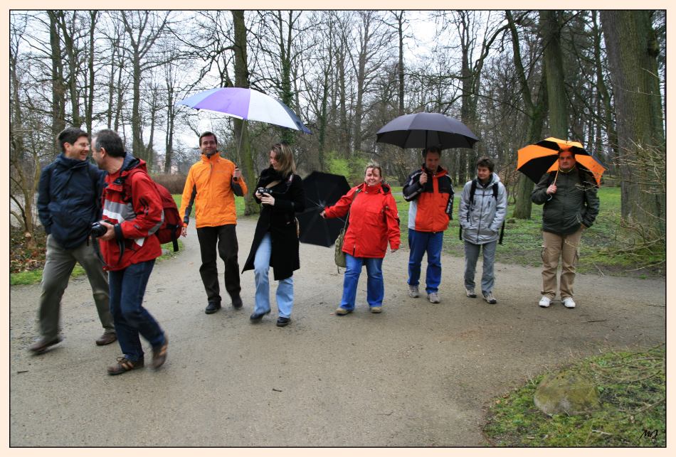 Eine bunte Truppe