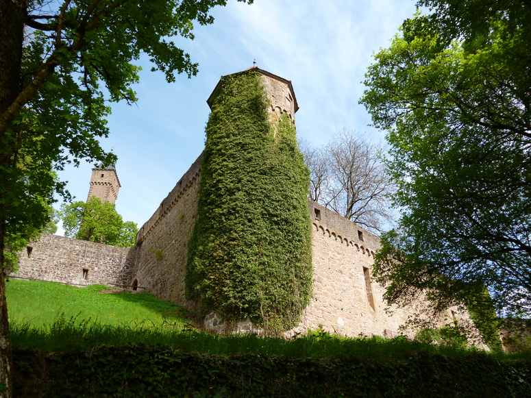 ...eine Burg im Neckartal (Raum Heidelberg) Bild 2