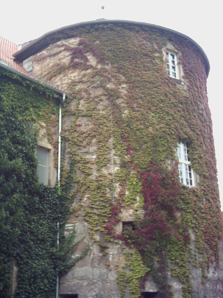 eine Burg in Thüringen...