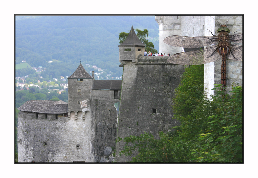 eine burg und ihre besucher