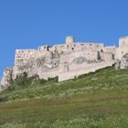 eine Burg...ohne Burgfräulein....