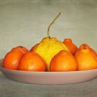 Eine "Cedrat"  (Citrus medica) im Kreise von Minneolas....