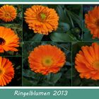 Eine Collage mit Ringelblumen !