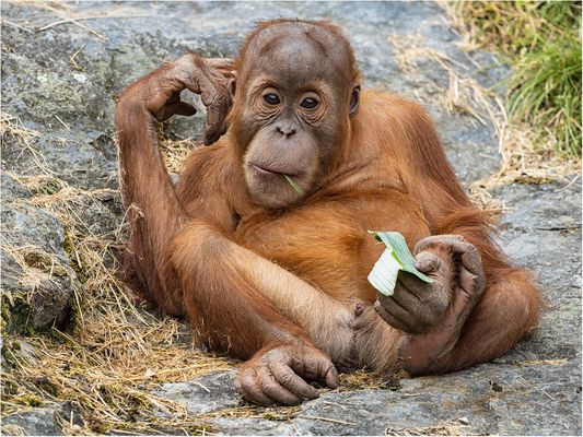 Eine coole Type.....