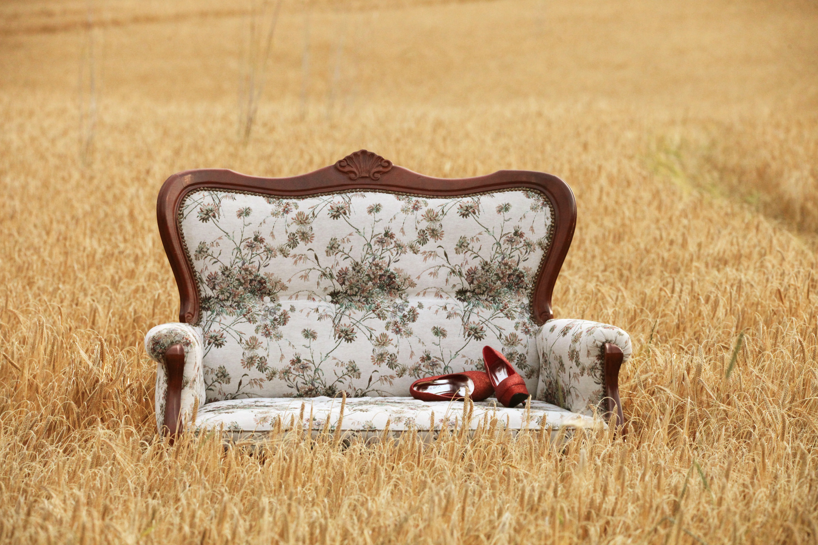 Eine Couch im Kornfeld