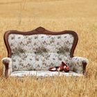 Eine Couch im Kornfeld