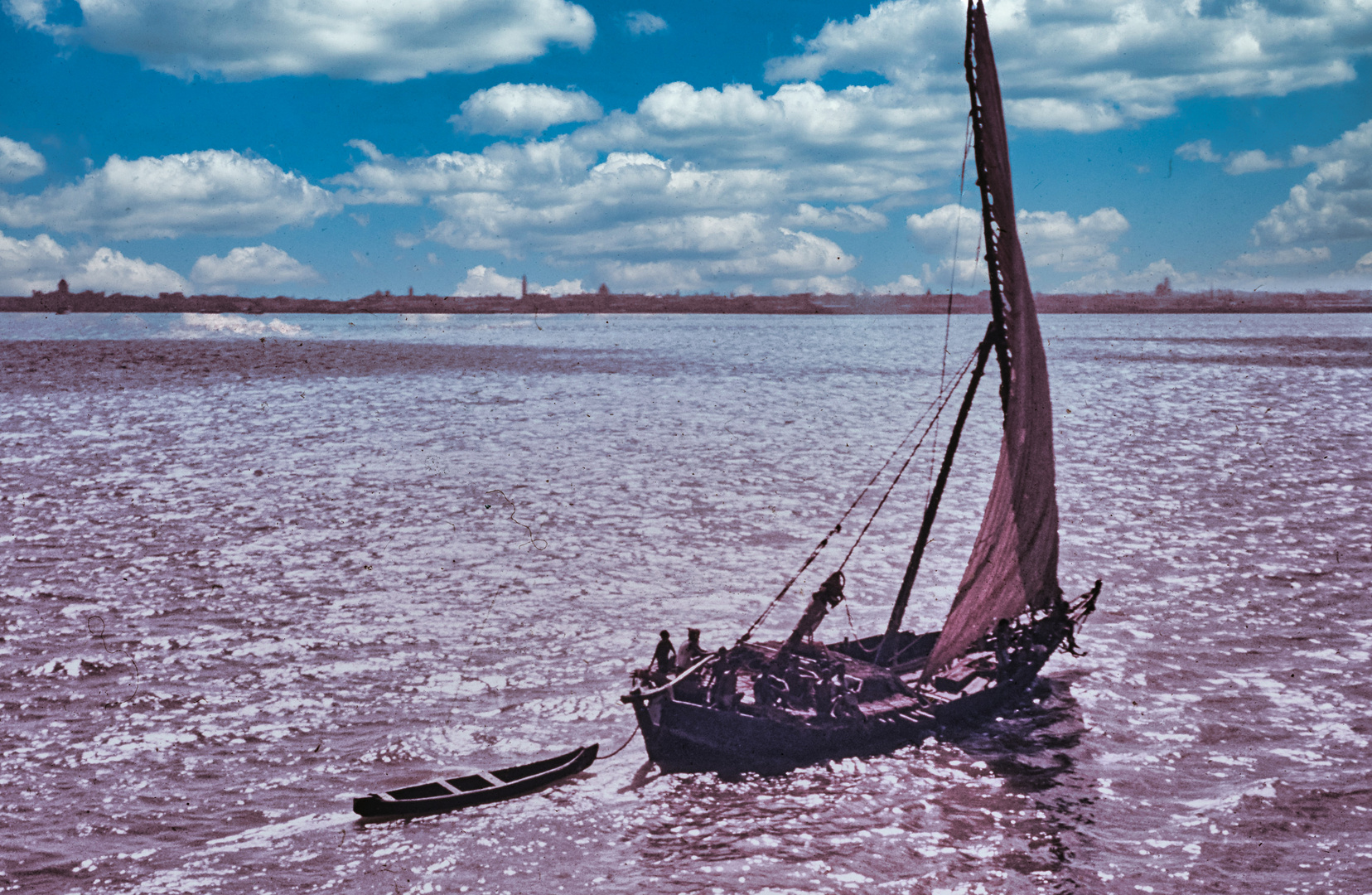 eine DAU auf dem Roten Meer