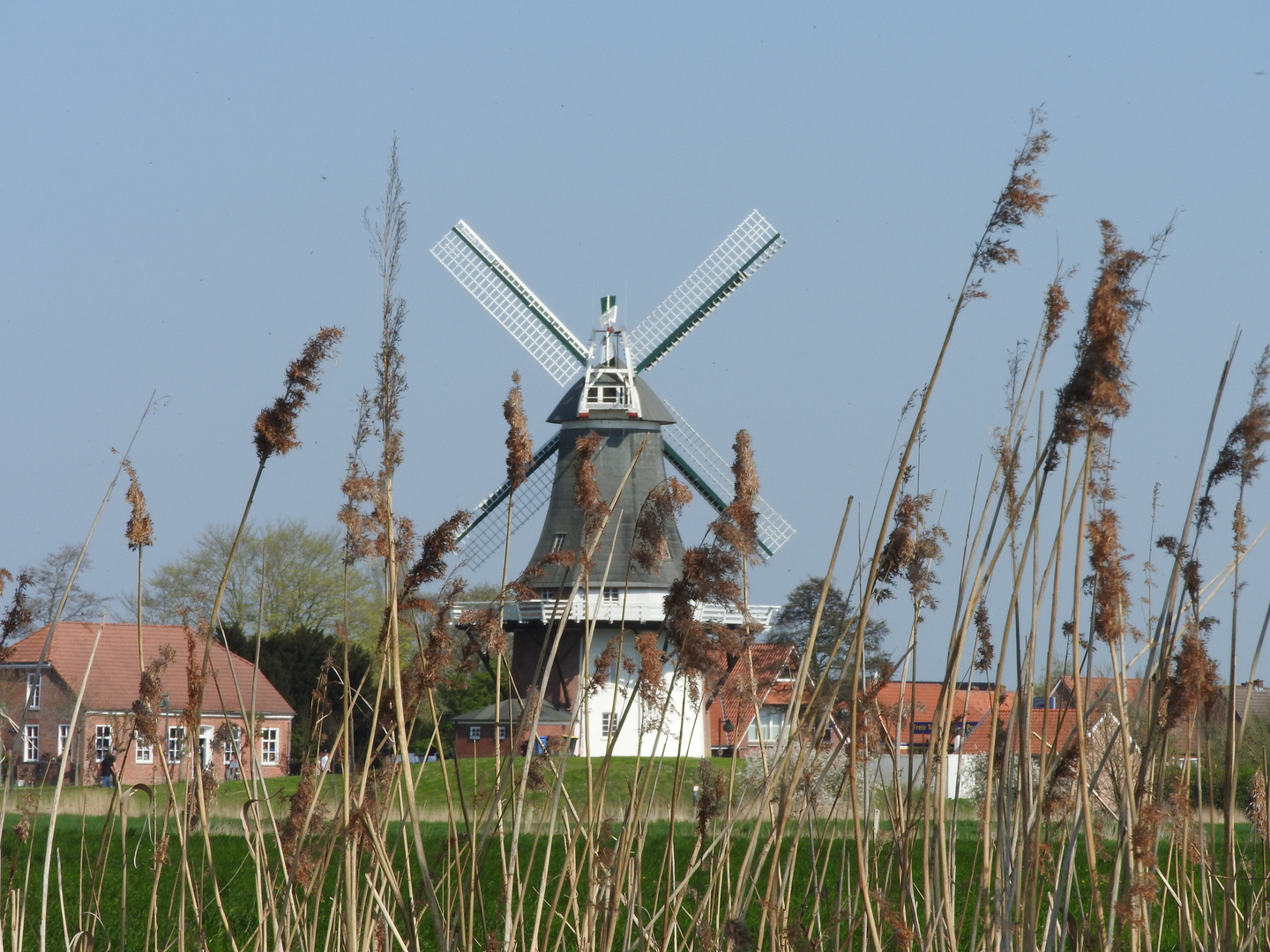 Eine der Mühlen von Greetsiel