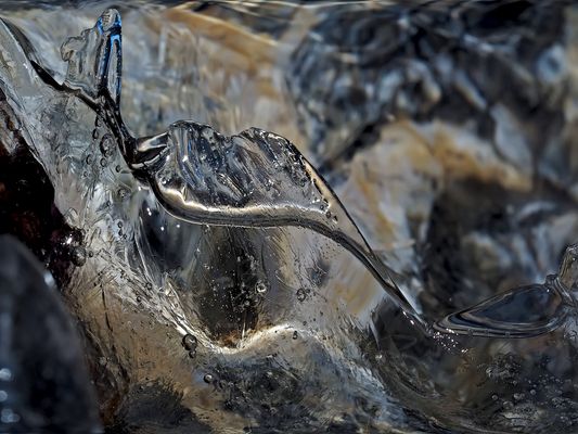 Eine der schönen Seiten des Winters, die leider oft nicht beachtet werden...