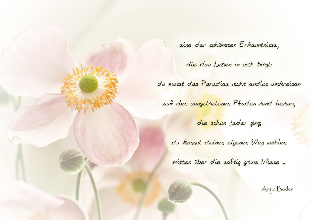 eine der schönsten Erkenntnisse Foto & Bild karten und kalender