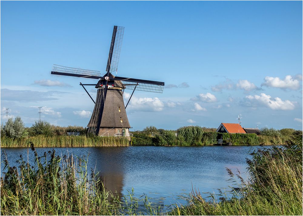 Eine der vielen Windmühlen