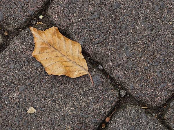 Eine der zahllosen Begenungen bei einem Spaziergang ... (3)