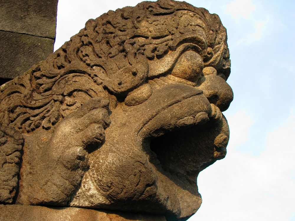 eine der zahlreichen Wasserrinnen des Borobudur (Java, Indonesien)