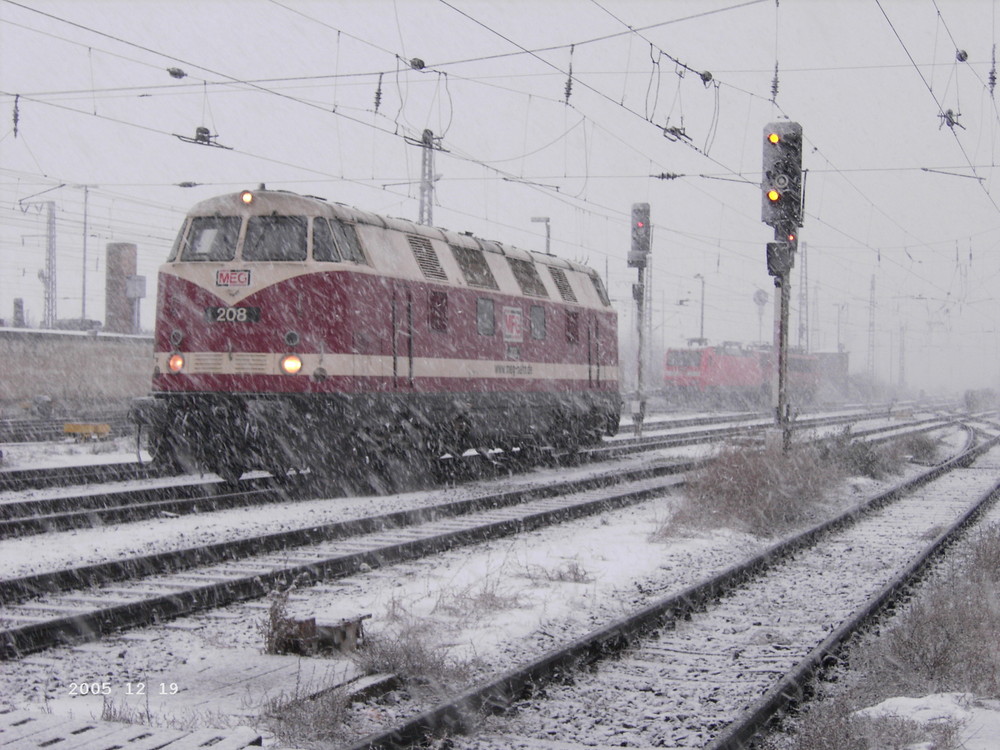 Eine Dicke im Schneesturm.