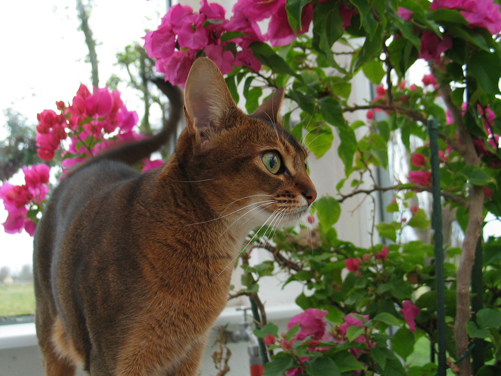 Eine Diva mit Weitblick