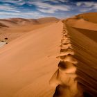 eine Düne, wie der Rücken eines Tieres