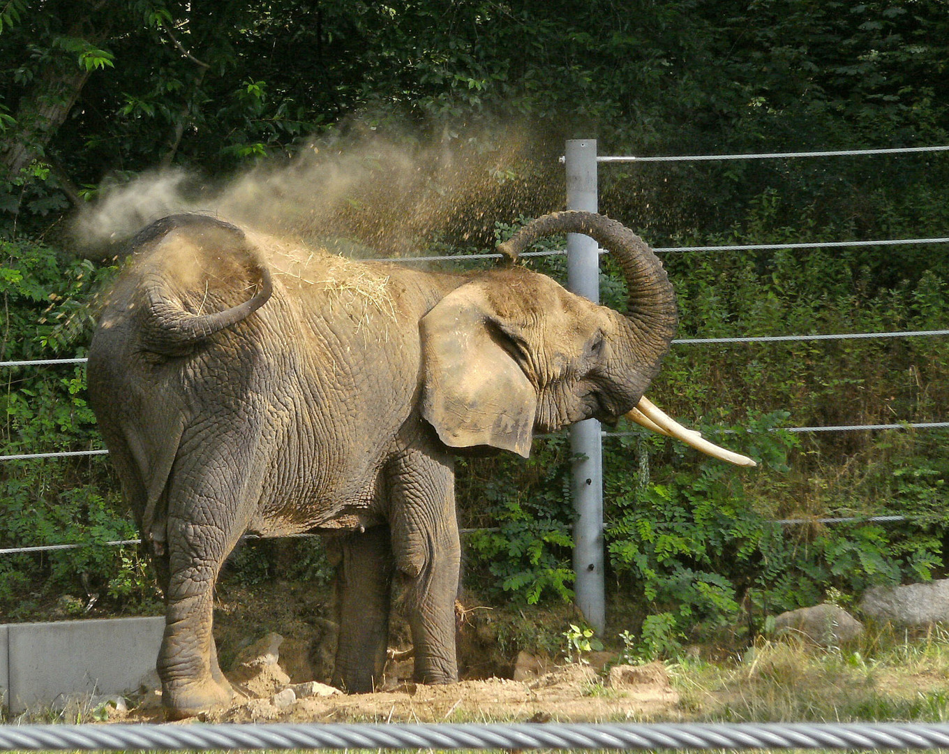 Eine Dusche am Morgen...