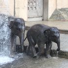 Eine Dusche kann nie schaden