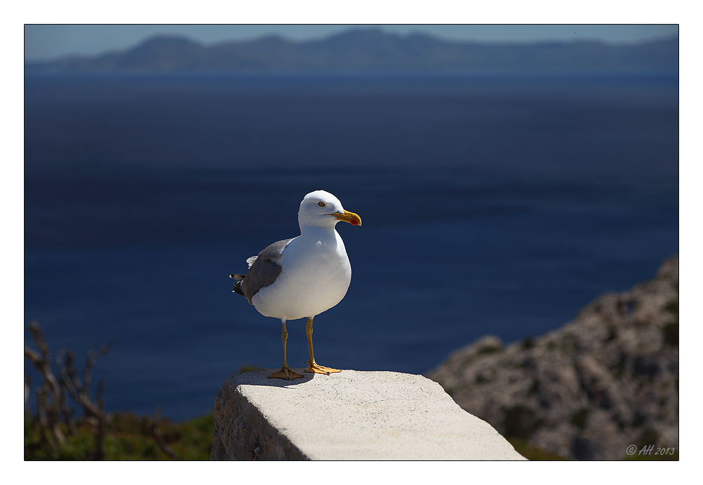 Eine echte Mallorquinerin