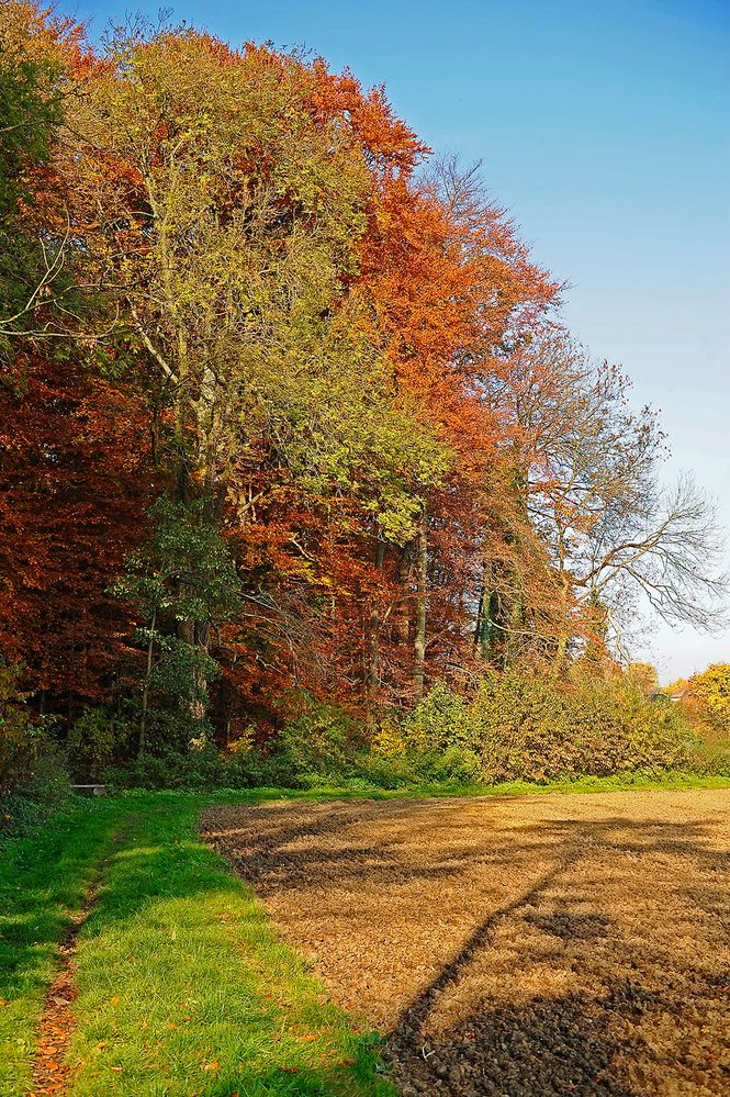 Eine Ecke der Ruhe an Feld und Flur