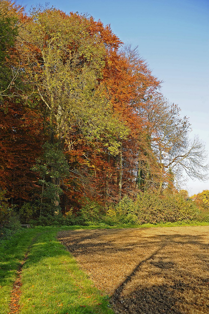 Eine Ecke der Ruhe an Feld und Flur