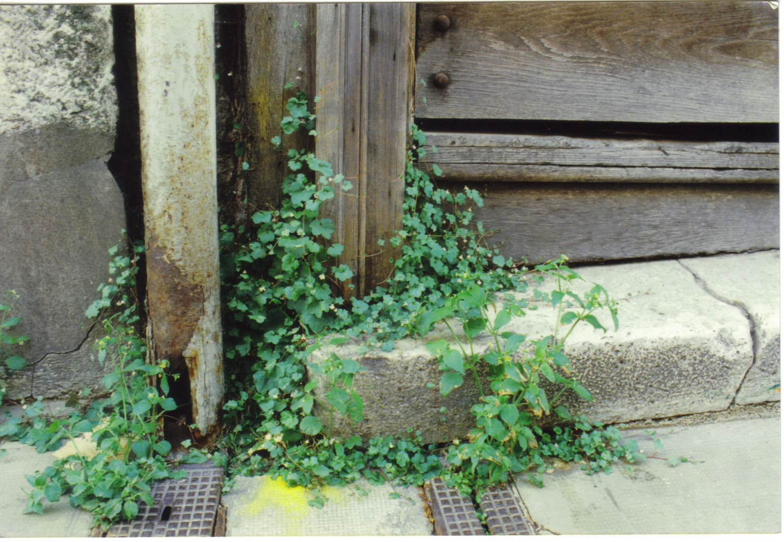 Eine Ecke für das Leben