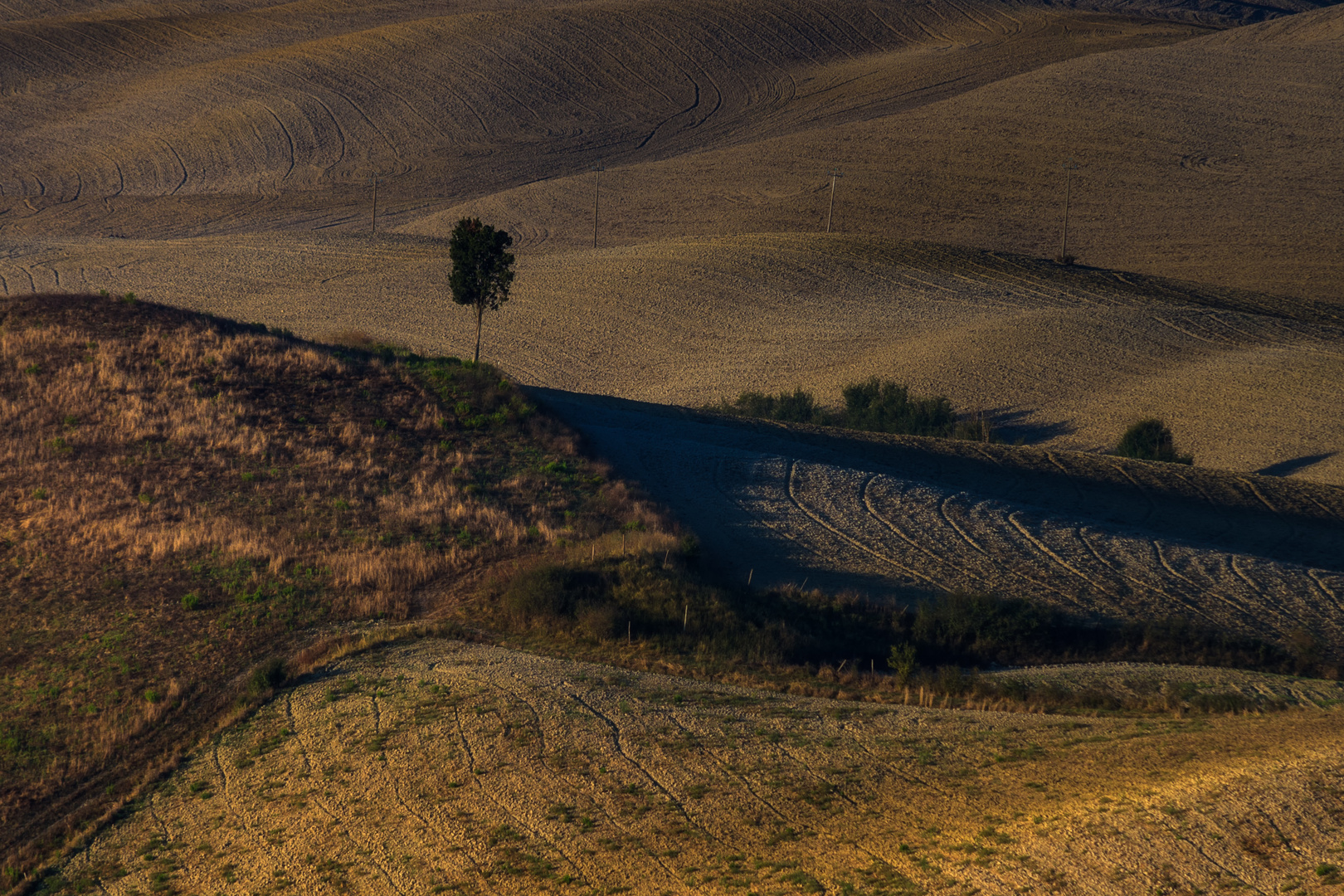 Eine einfache Landschaft mit einem Baum