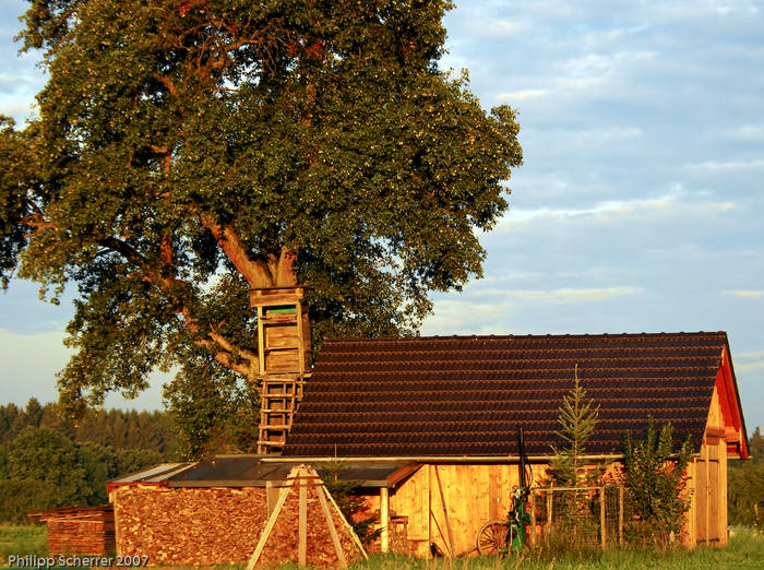 Eine einsame Hütte in der Morgensonne