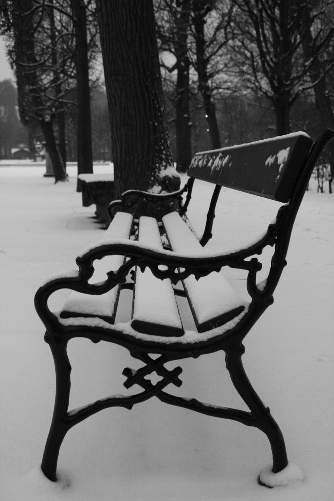 eine einsame parkbank im winter 09