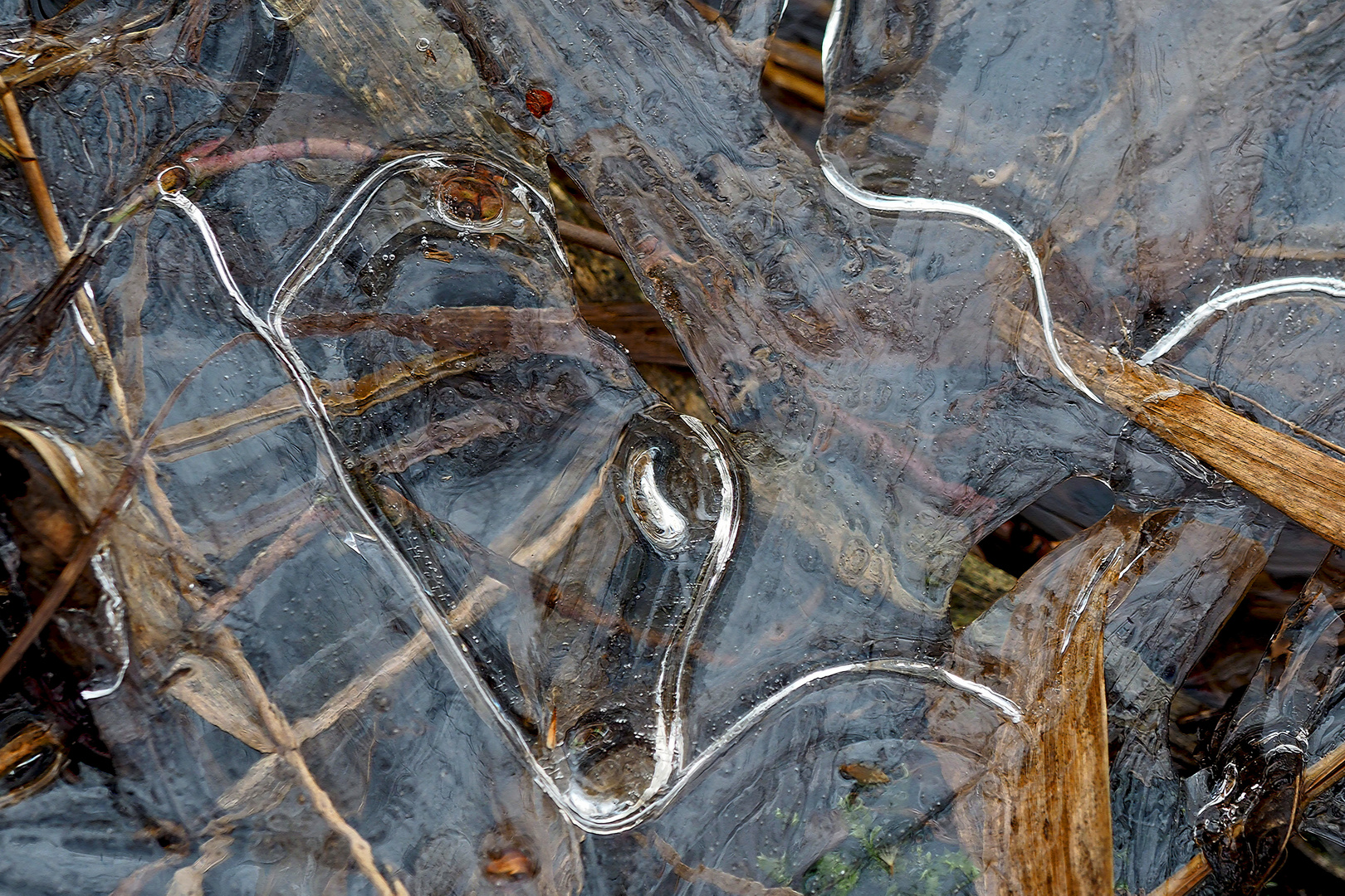 Eine Entdeckungsreise im Land der winterlichen Träume! - Un rêve hivernal!