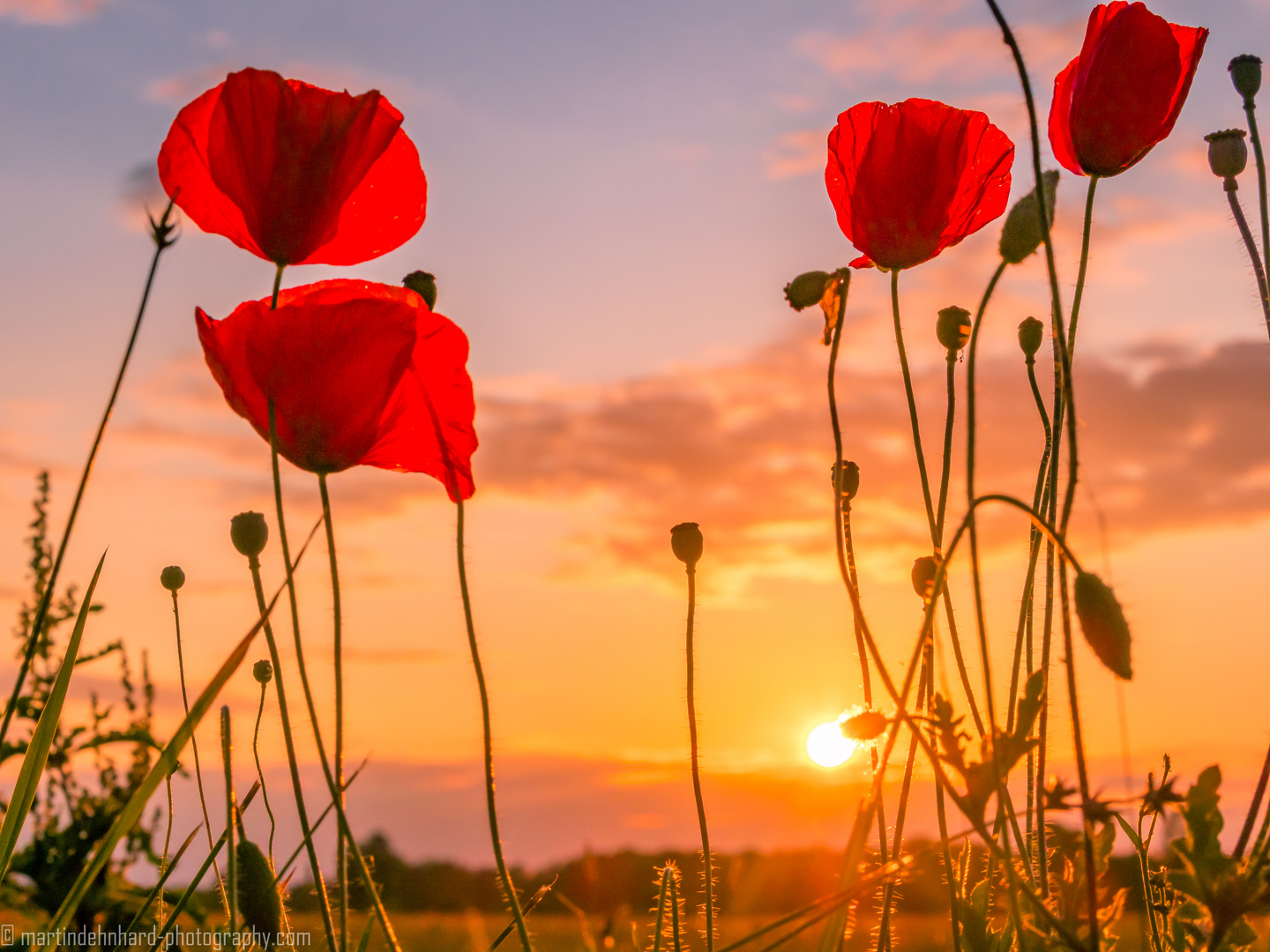 Eine Erinnerung an den vergangenen Sommer