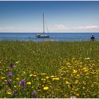 ... Eine etwas andere Strandlandschaft ...