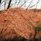 Eine Fahne im Wind