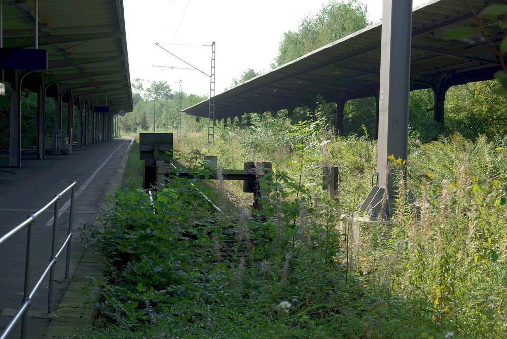 Eine Fahrt ins Grüne