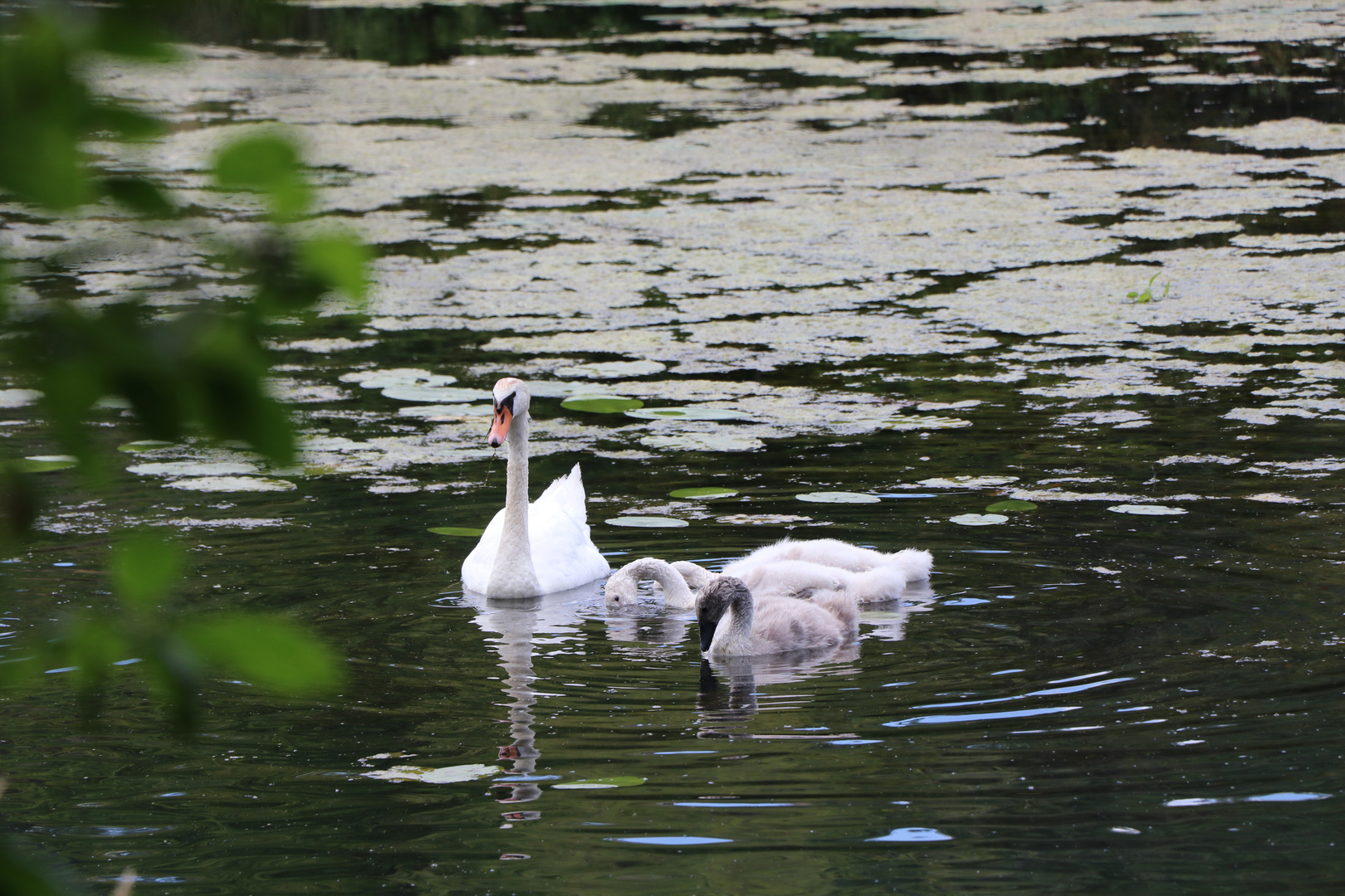 Eine Familie...