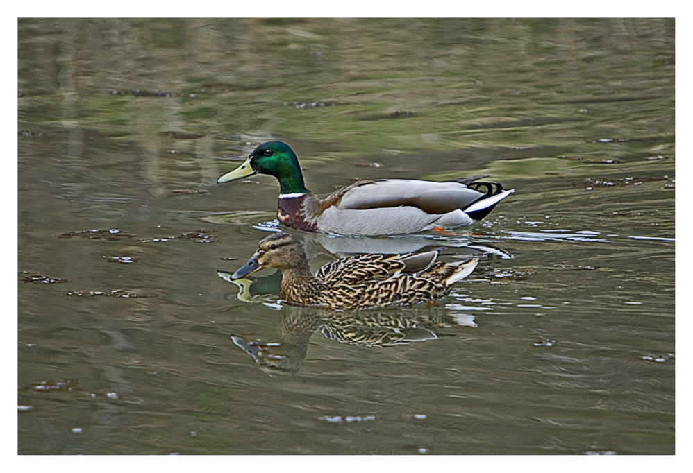 Eine Familie...