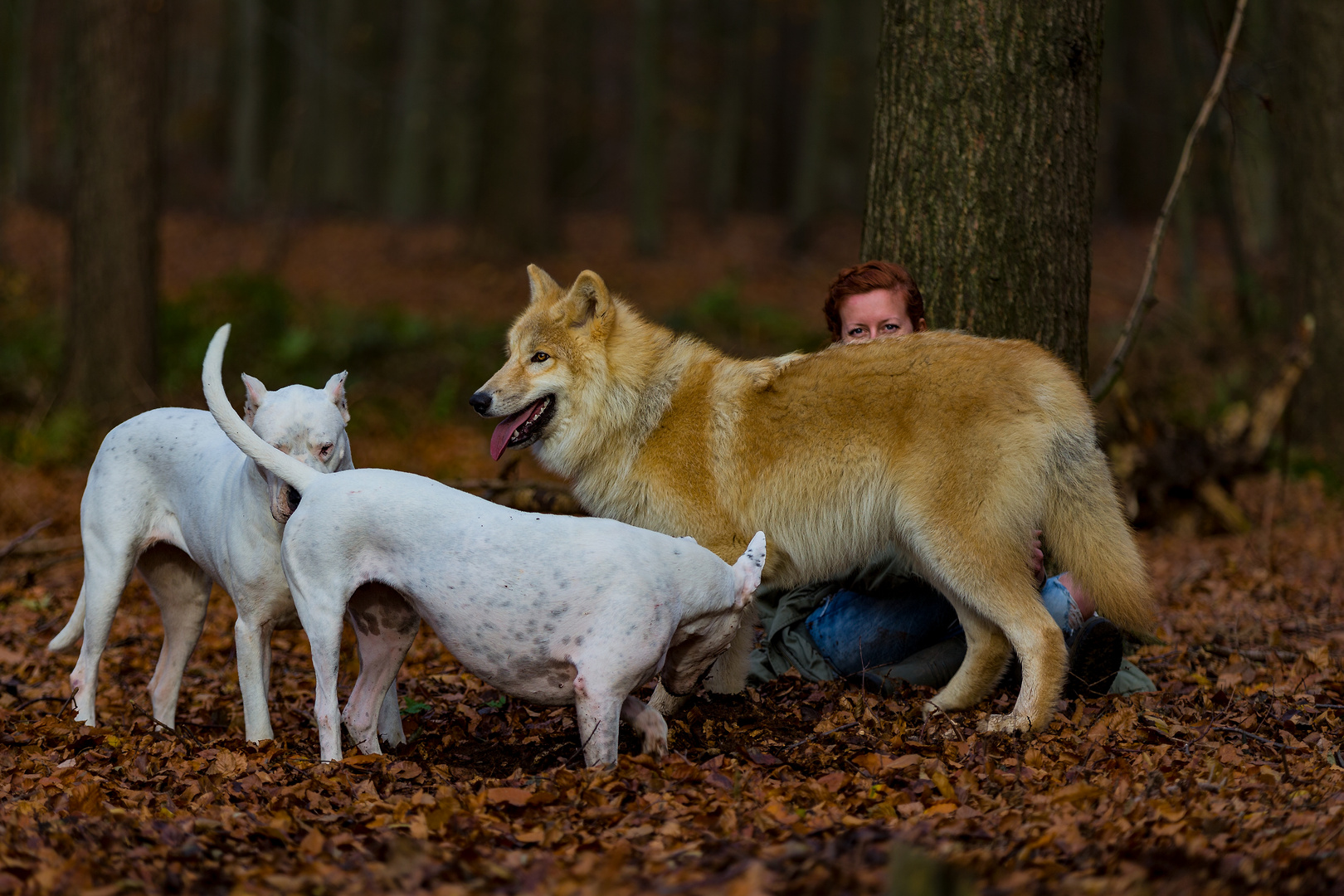 Eine Familie...