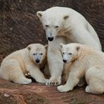 Eine Familie zum Knuddeln :-)