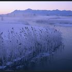 EINE Farbe - Winter Blue(s)