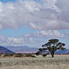 Eine Farm in Afrika...