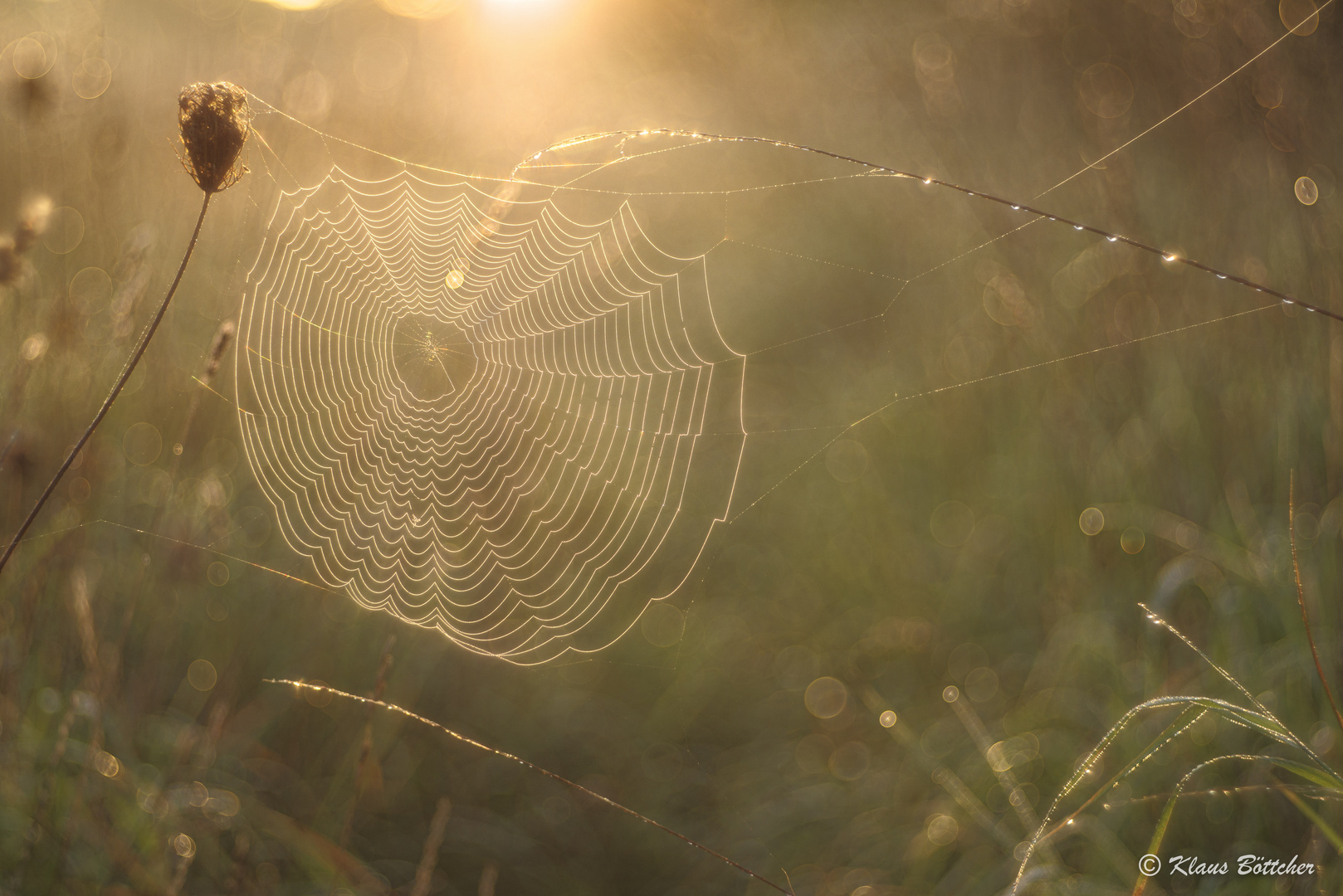 Eine fein glitzernde Welt