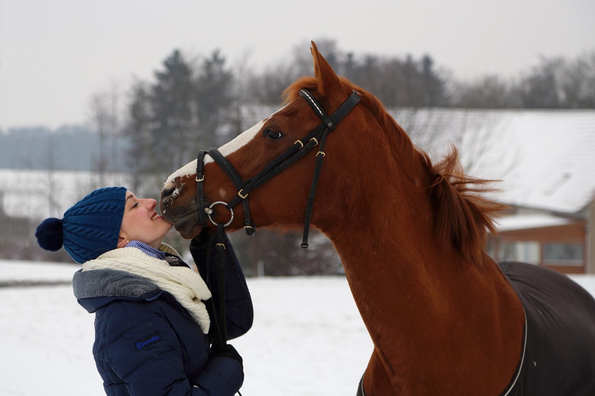 Eine feine Winterfreundschaft, die auch im Sommer hält