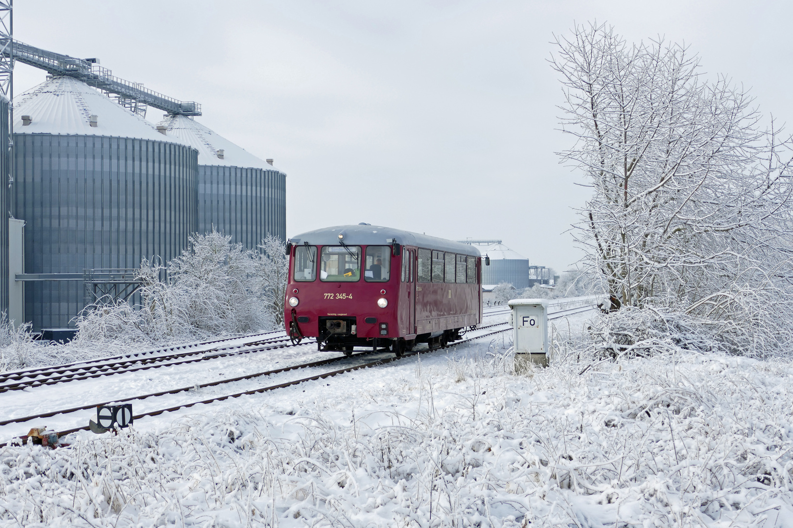 Eine Ferkeltaxe auf der Pfefferminzbahn am 19.01.2024