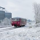 Eine Ferkeltaxe auf der Pfefferminzbahn am 19.01.2024