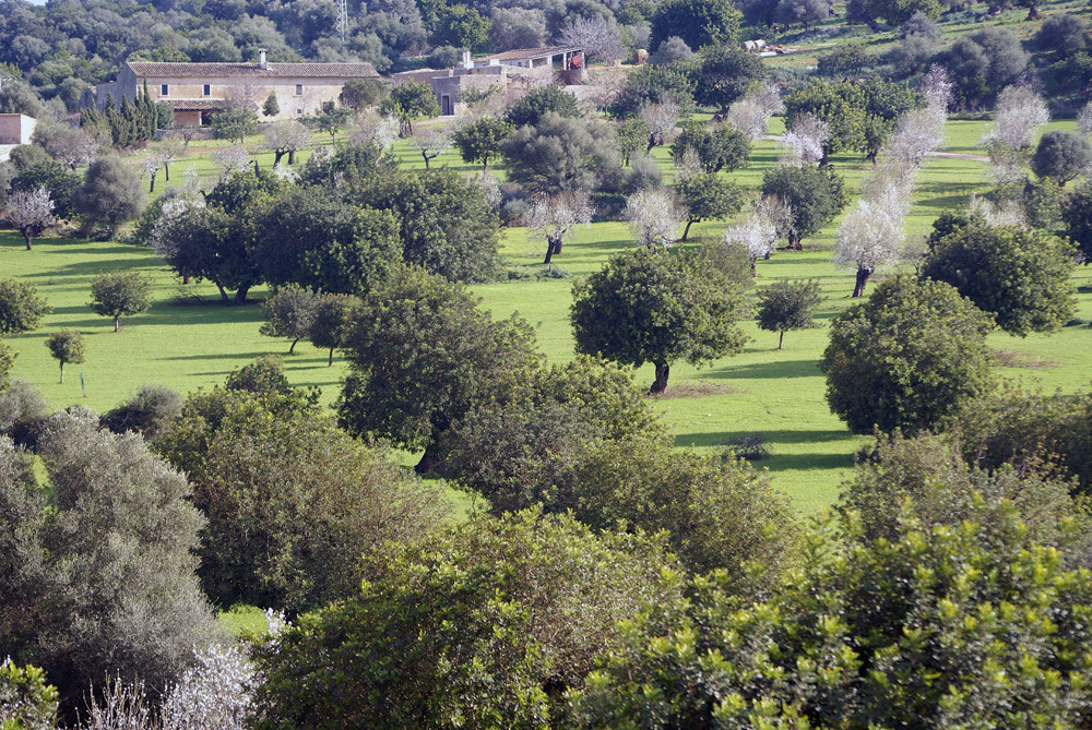 Eine Finca auf Mallorca