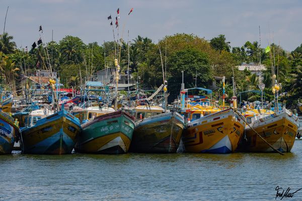 Eine Flotte lebt wieder / A fleet lives again