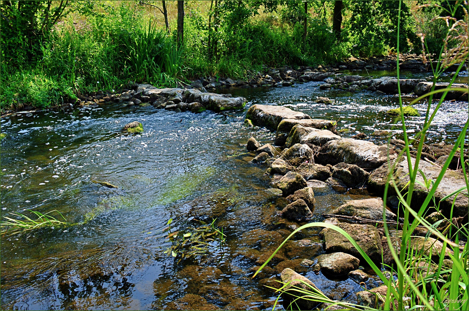 eine Flusslandschaft im Münsterland