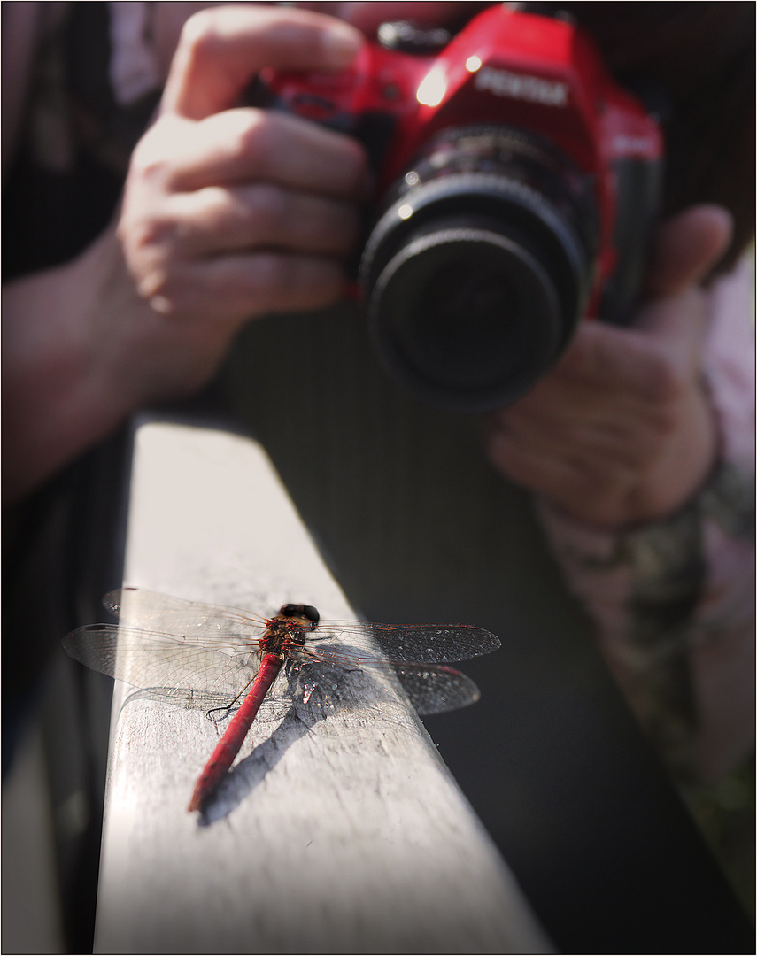 Eine Fotografin bei der Arbeit.