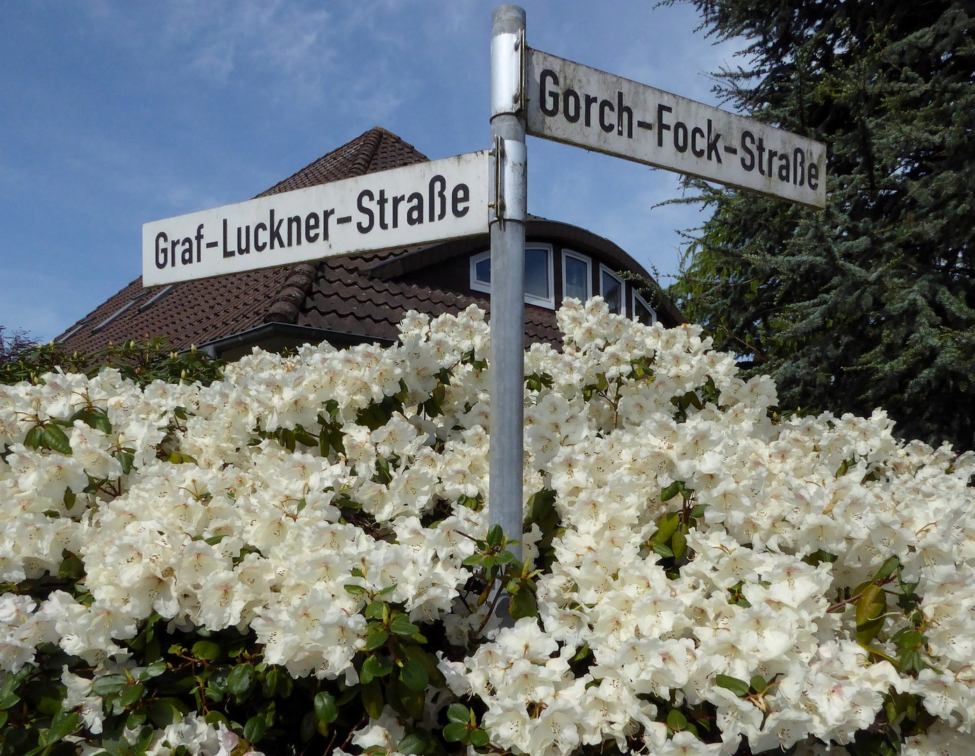 Eine freundliche Straßenecke